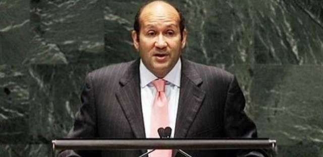  السفير هشام بدر