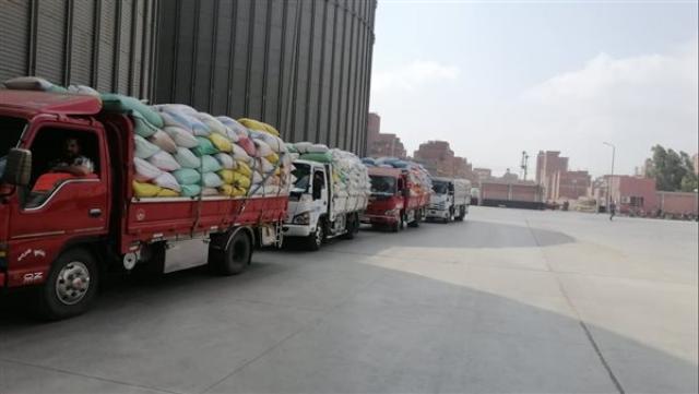 توريد القمح بالمنوفية