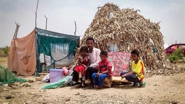 ألف نازح يمني