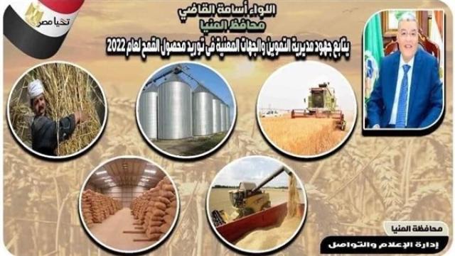 تموين المنيا