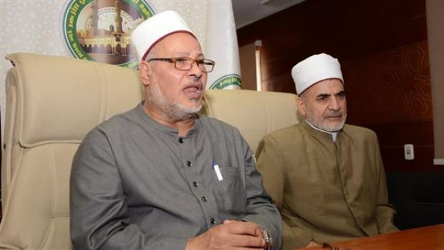 الدكتور إبراهيم الهدهد