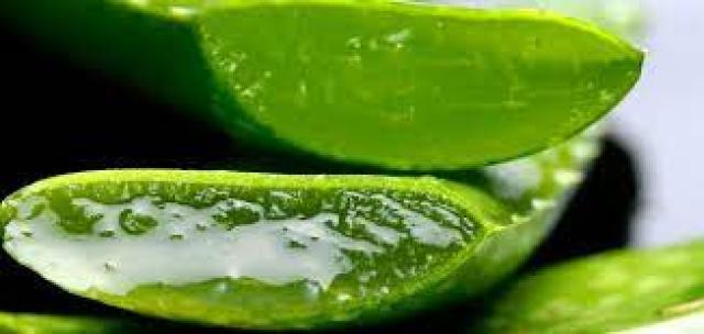 فوائد الصبار للبشرة