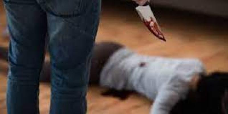 المتهم بقتل فتاة الشرقية يعترف بقتلها انتقاما منها لتخليها عنه