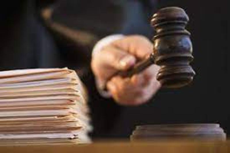 جنايات المحلة 