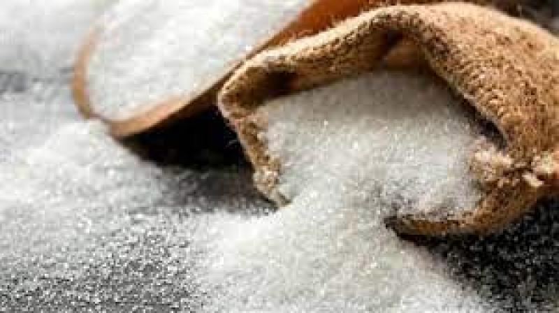 سعر السكر اليوم