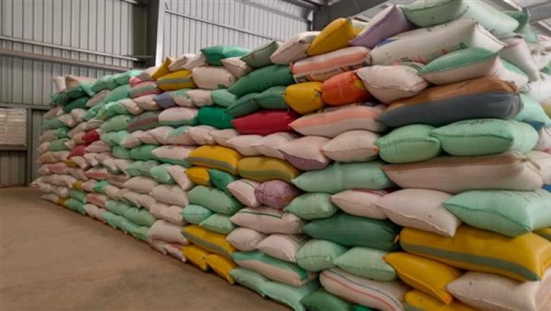 توريد القمح بالبحيرة