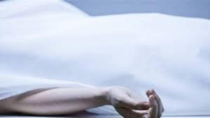 سيارة إسعاف - أرشيفية