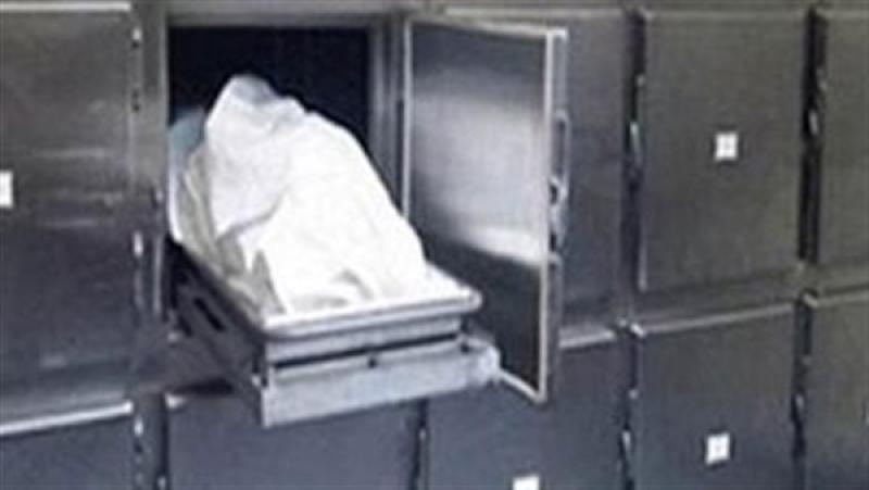 صورة ارشيفيه