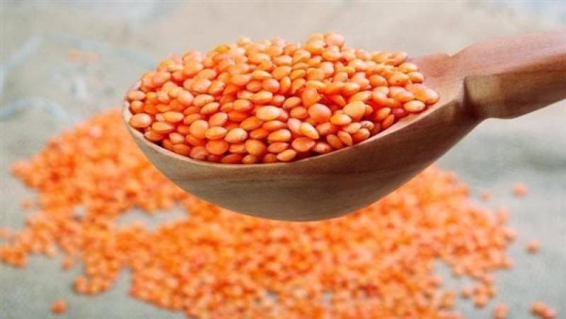 أسعار العدس اليوم