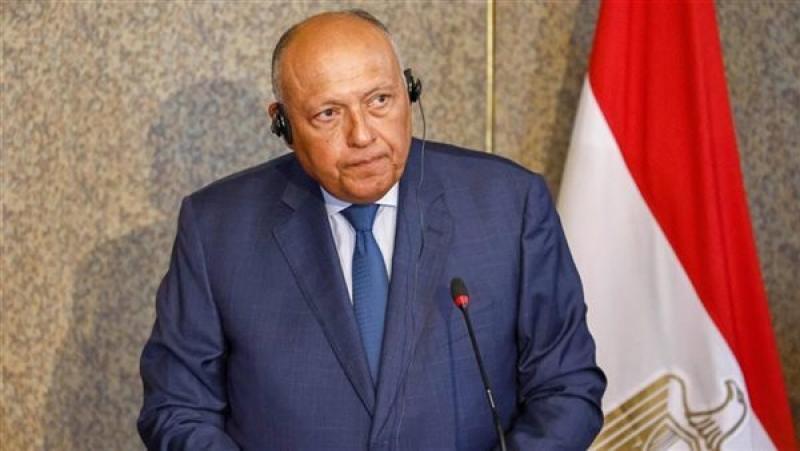 وزير الخارجية سامح شكري