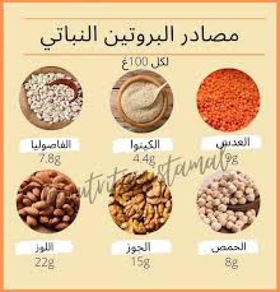 مصادر البروتين النباتي ، وإجمالي احتوائها على كمية البروتين
