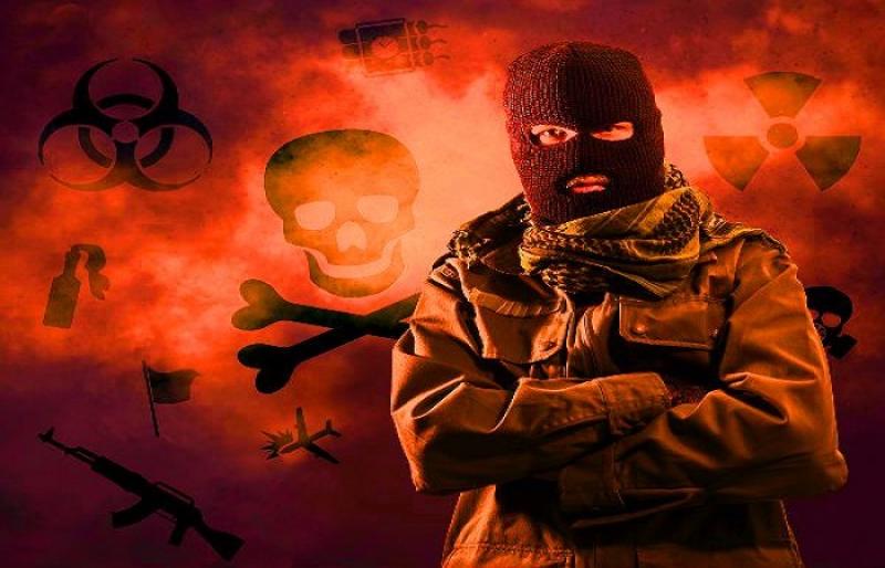 قضية خلية الذئاب المنفردة