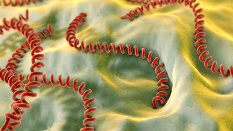 داء البريميات يتفشى في منطقة تايشا الريفية