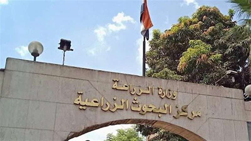 البحوث الزراعية