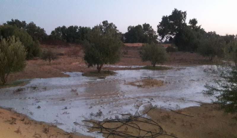 الأودية الجافة