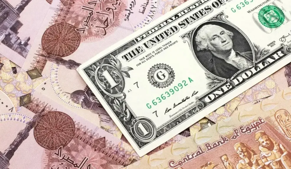 سعر الدولار
