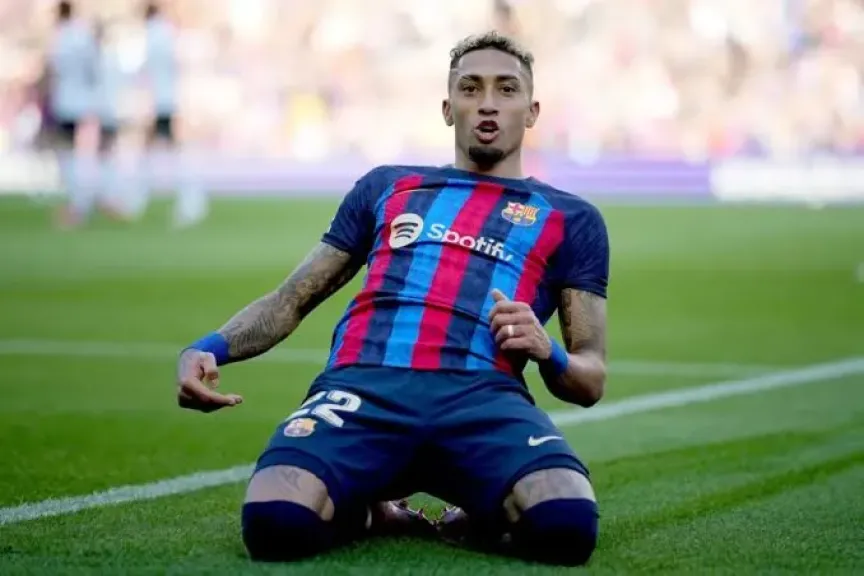 رافيينا