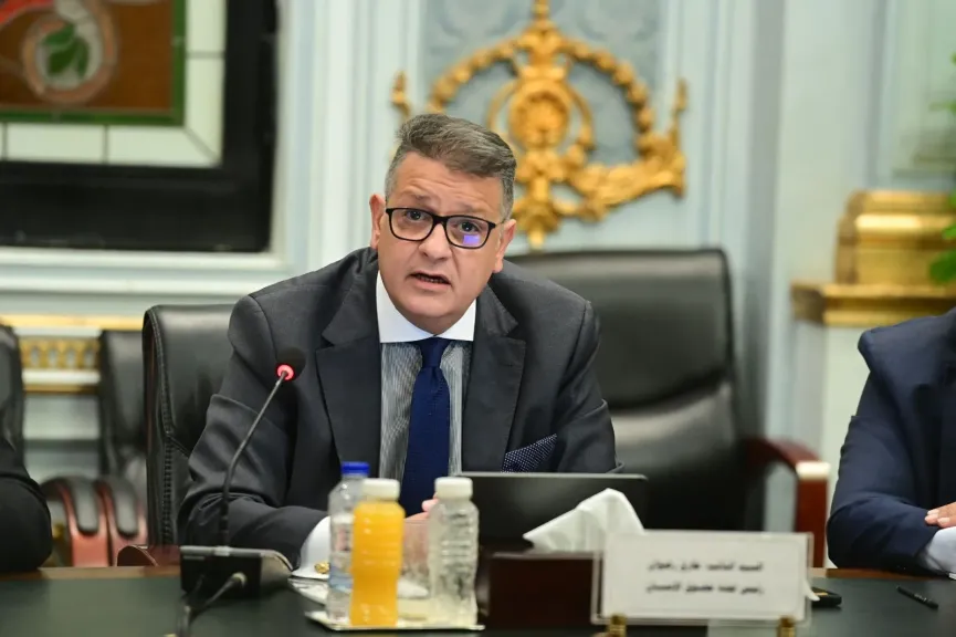 النائب طارق رضوان، رئيس لجنة حقوق الإنسان