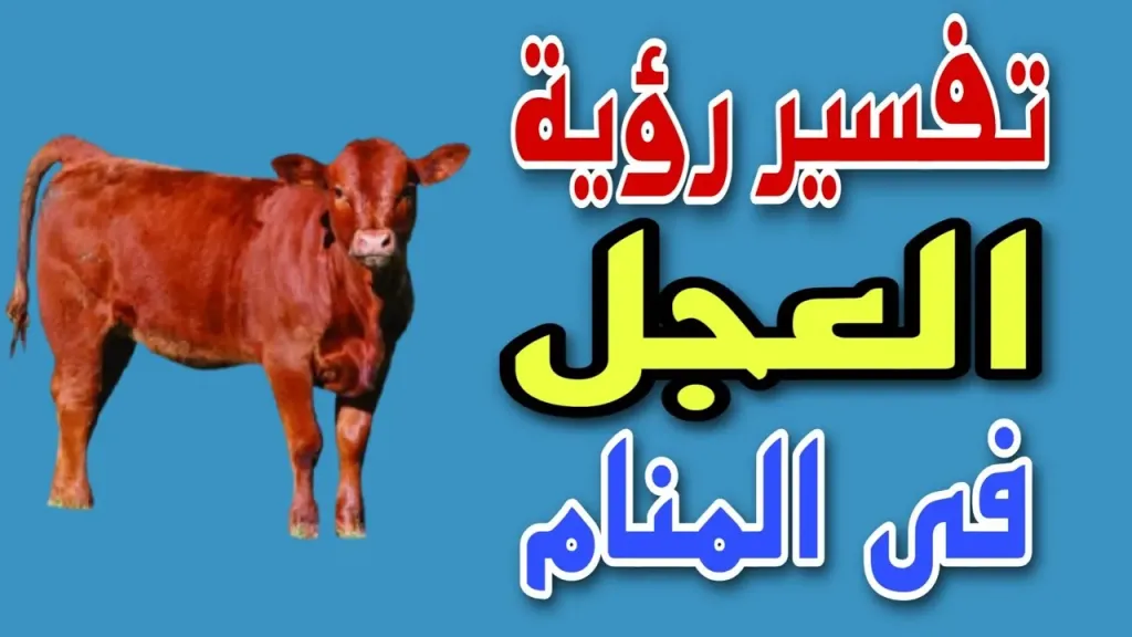 رؤية العجل في المنام للنابلسي