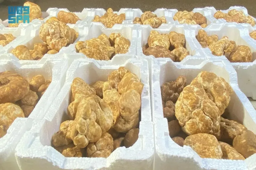 تفسير رؤية الفقع في المنام فهد العصيمي