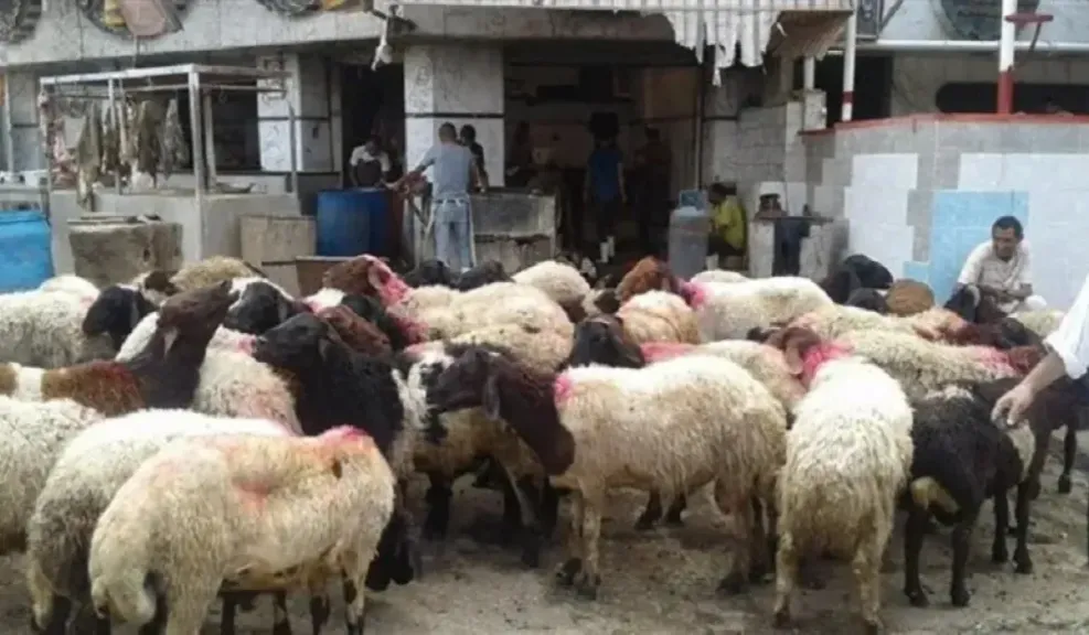 وزارة التموين والتجارة