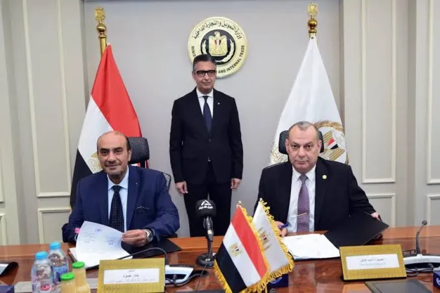 شراكة مصرية سعودية