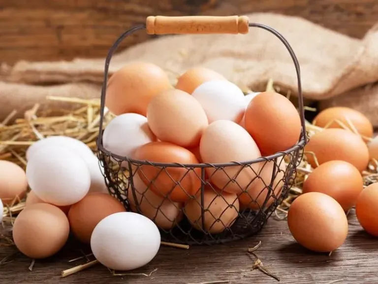 أسعار البيض