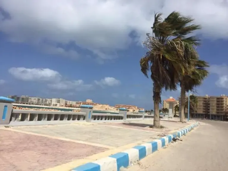 طقس مطروح