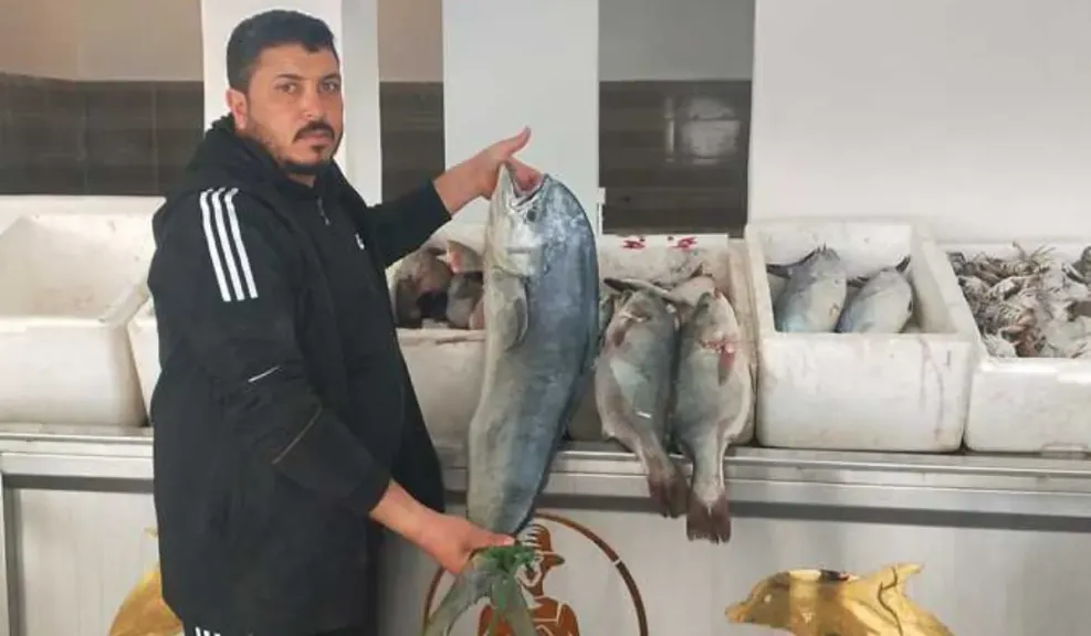 اسعار الأسماك