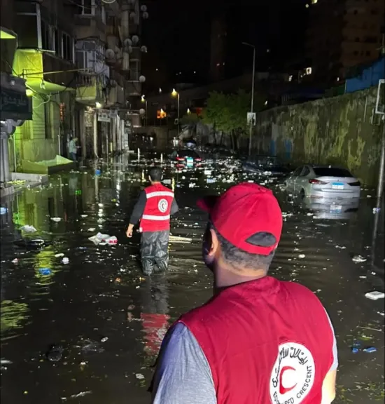 سيول الإسكندرية