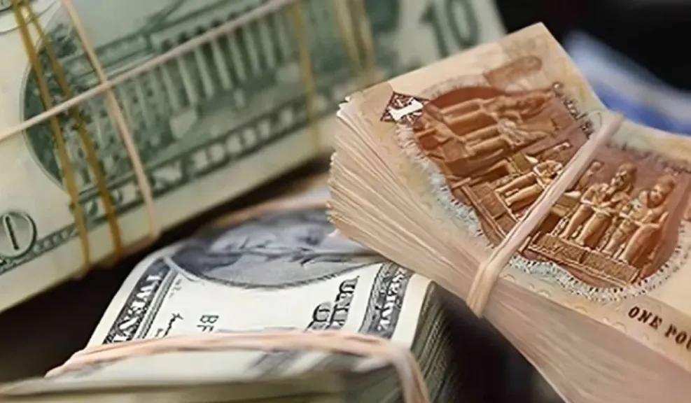 سعر الدولار الأمريكي