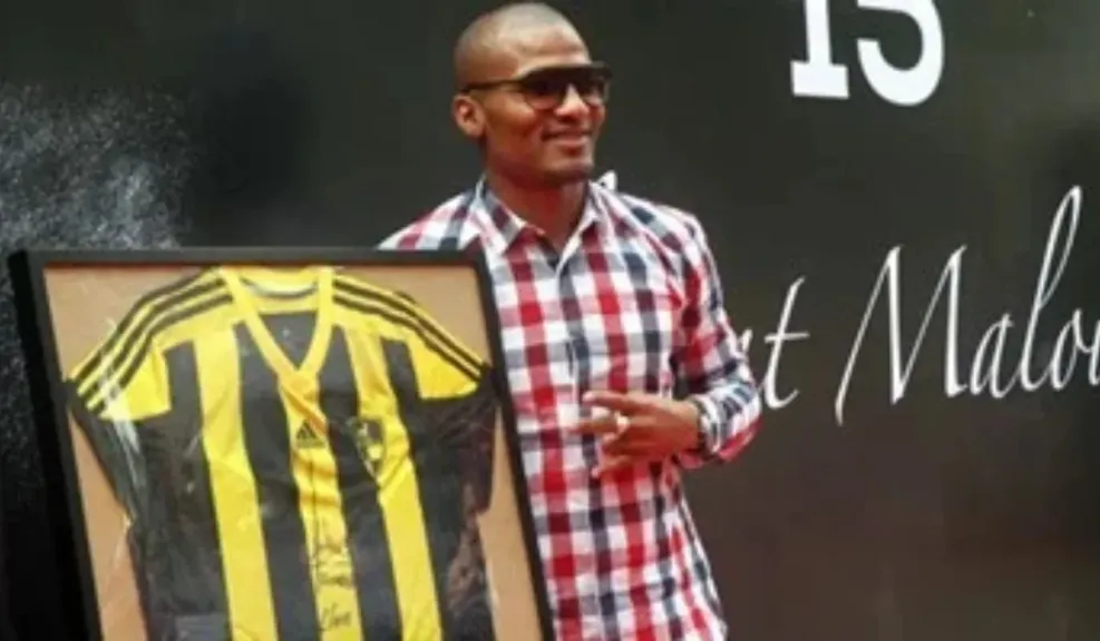 دوري المحترفين