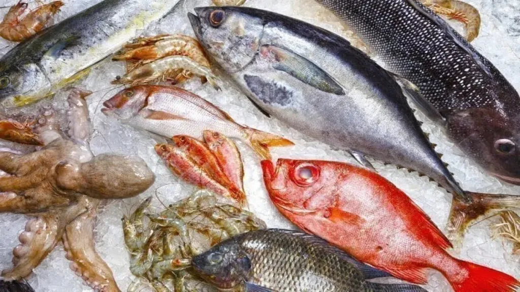 أسعار الأسماك اليوم