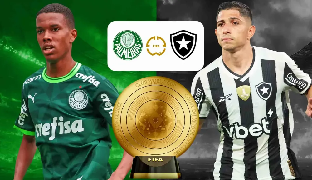 مباراة بالميراس وبوتافوغو