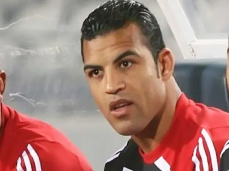 السيد حمدي الأهلي