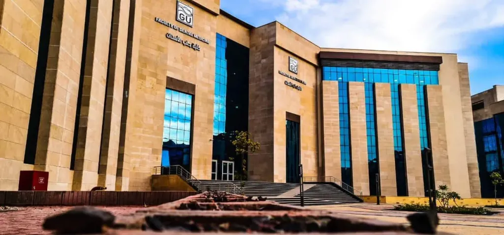 الجامعات الأهلية في مصر 