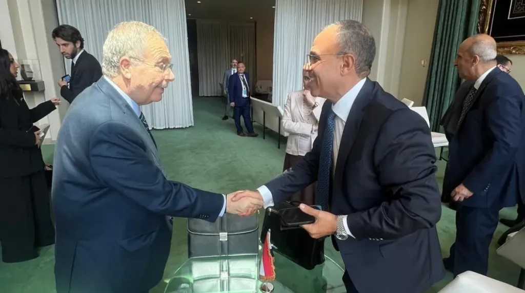 وزير الخارجية المصري