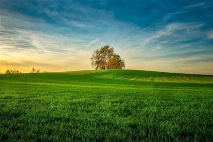 تفسير حلم الأرض الخضراء والماء